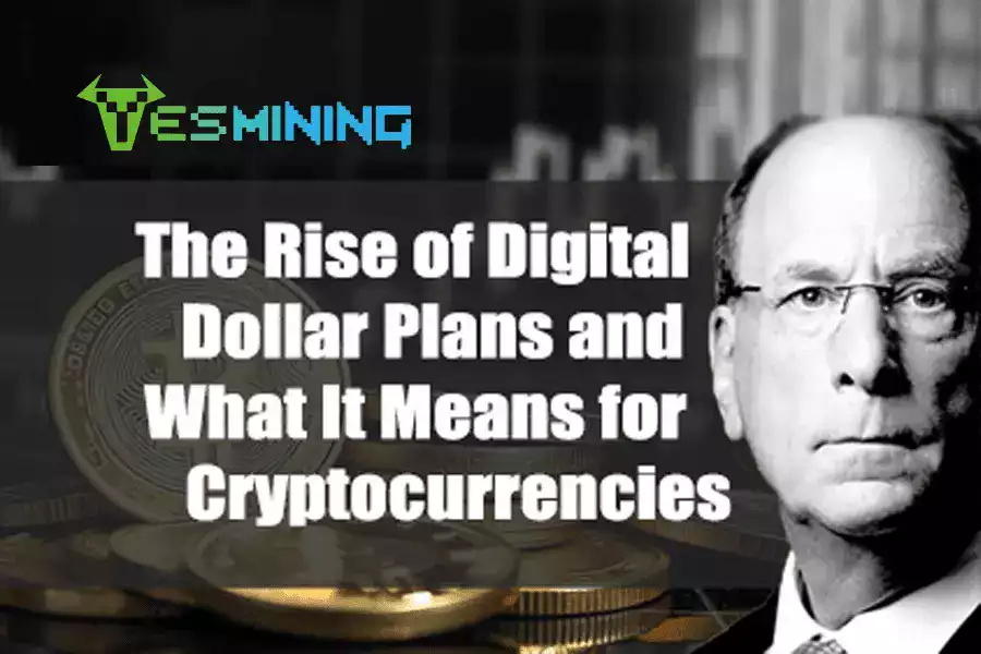The Rise of Digital Dollar Plans and What It Means for Cryptocurrencies
