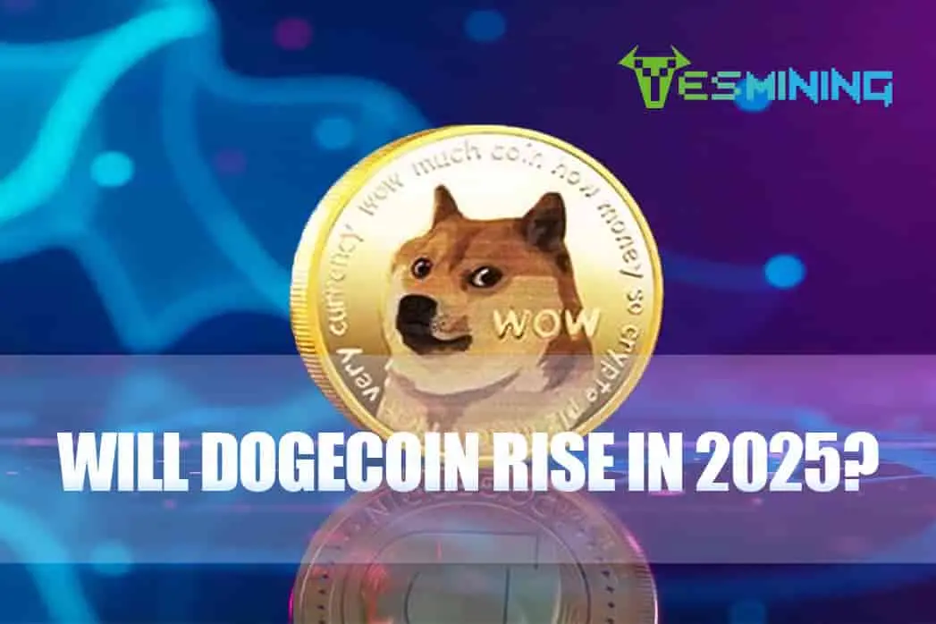 Will Dogecoin Rise in 2025?