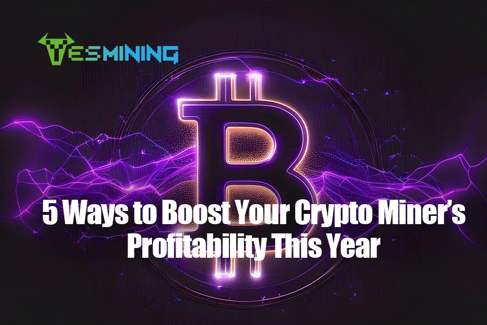 5 способов повысить прибыльность вашего криптомайнера в этом году