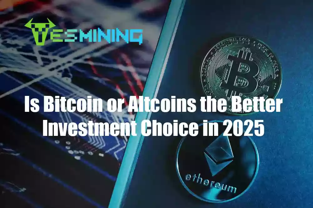 Is Bitcoin or Altcoins the Better Investment Choice in 2025