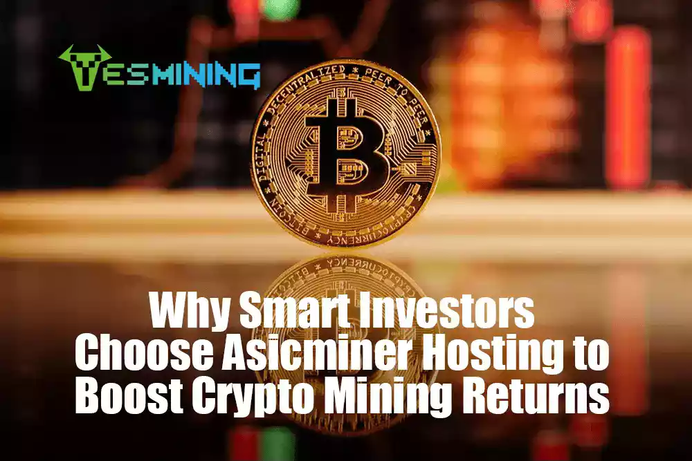 Why Smart Investors Choose Asic Miner Hosting to Boost Crypto Mining Returns