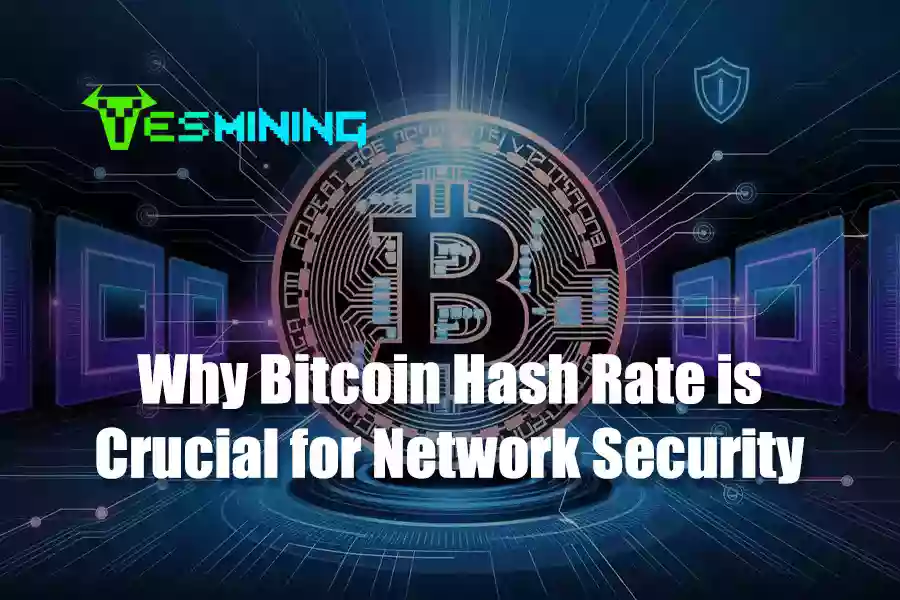 Why Bitcoin Hash Rate is Crucial for Network Security