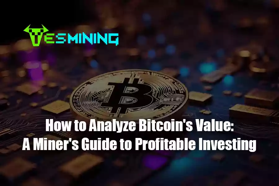 How to Analyze Bitcoin's Value A Miner's Guide to Profitable Investing