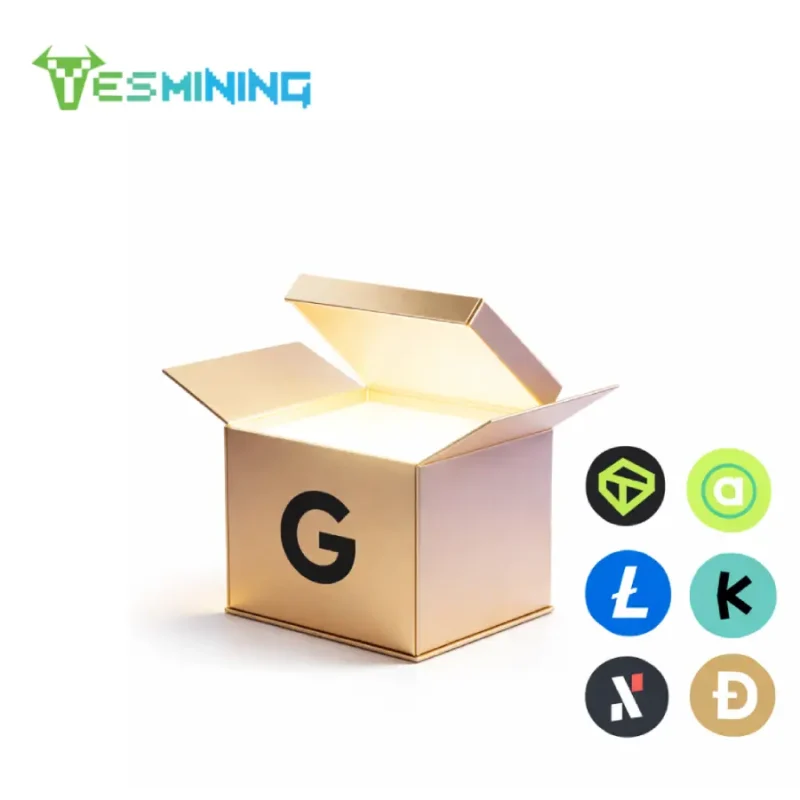 New Year Special Goldshell Mystery Crypto Miner Box